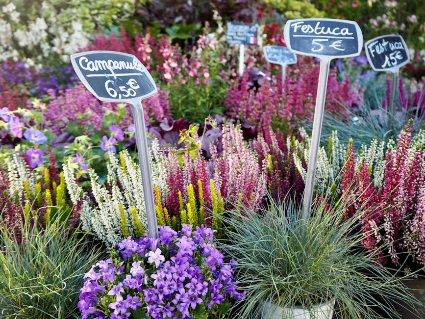 https://earlsfieldflorist.co.uk/blog/earlsfield-florist-trade-pricing-explained-real-cost-guide/