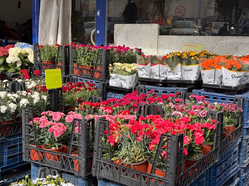 A display of various potted flowering plants arranged in black plastic crates outside a flower shop. The flowers include bright pink, red, white, orange, and yellow blooms, with some in white paper wr