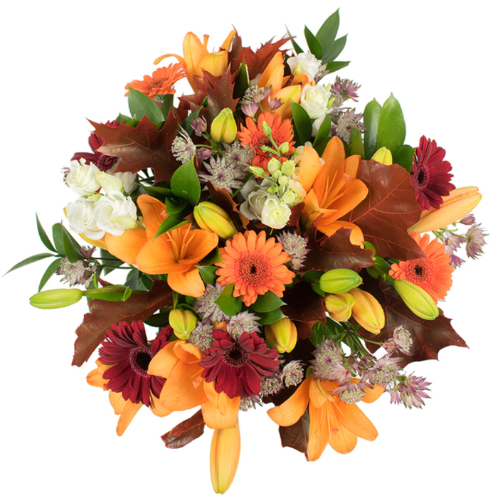A meticulous, elevated view of a hand-tied autumn bouquet that reads as a layered study in texture and colour. Several large orange Asiatic lilies dominate the foreground, their broad, trumpet-shaped petals unfurled in confident curves while a cluster of tight buds-pale orange flushed with green-suggests continued bloom. Bright orange Gerbera daisies create lively punctuation points; deeper burgundy-red Gerberas add weight and depth with their velvety tones. Interspersed creamy-white Lisianthus blooms lend a soft, romantic counterbalance, each ruffled petal catching the light with delicate nuance. Fine, starry heads of muted purple Astrantia thread between the bigger flowers, contributing an intricate, almost architectural lace that keeps the composition airy. The palette is grounded by fresh green foliage and slender, supportive stems, and dramatically completed by several large, lobed leaves in rich reddish-brown-reminiscent of fallen oak-that reinforce the seasonal story and evoke parkland walks. The bouquet is brightly lit against a pure white backdrop, which sharpens edges, accentuates textural contrasts, and highlights its impeccable freshness. Sensory details come through in imagined scent: a soft floral sweetness edged with faint, leafy earthiness, ideal for a harvest-table centrepiece or a thoughtful seasonal gift. As a local professional who arranges flowers for homes around Earlsfield and the Wandsworth Common area, I see this as a composition that marries rustic charm with refined craft, suitable for autumn interiors, Thanksgiving gatherings, or to warm a bedside table during cooler evenings.